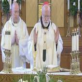 Catholic Daily Mass Readings icon