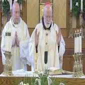 Catholic Daily Mass Readings