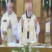 Catholic Daily Mass Readings 1.0