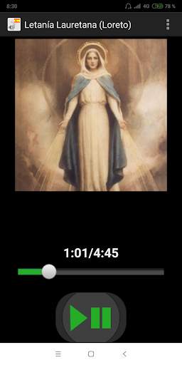 Rosario Santo Español Audio Offline screenshot 8