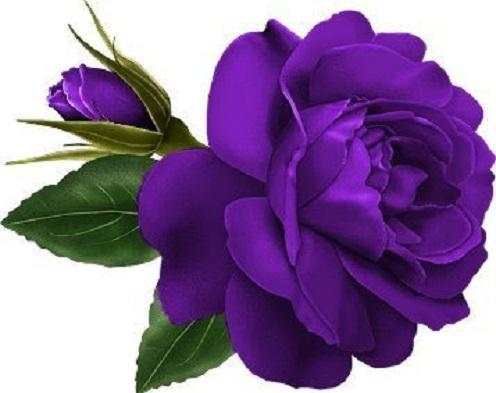 Flowers and Roses Live Wallpaper Gif App screenshot 17