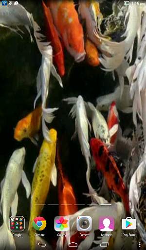 Koi Live Wallpaper screenshot 6