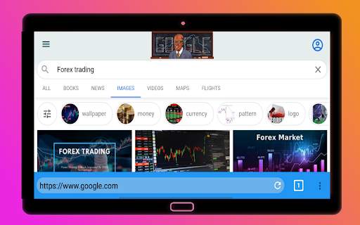 Privacy browser screenshot 5