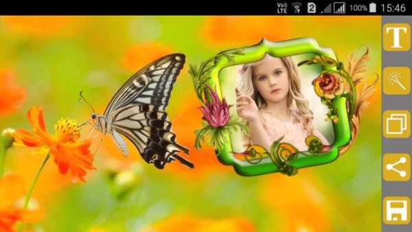 Butterfly Frames screenshot 2