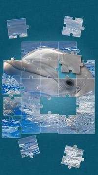 Dolphins Jigsaw Puzzle screenshot 4