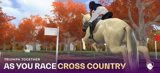 FEI Equestriad World Tour screenshot 4