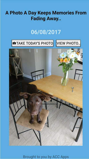 A Photo A Day screenshot 3