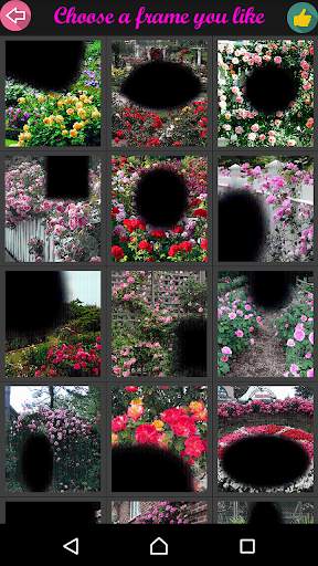 Rose Flower Frame screenshot 8