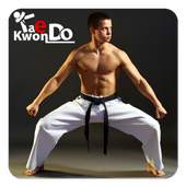 Taekwondo 1.3