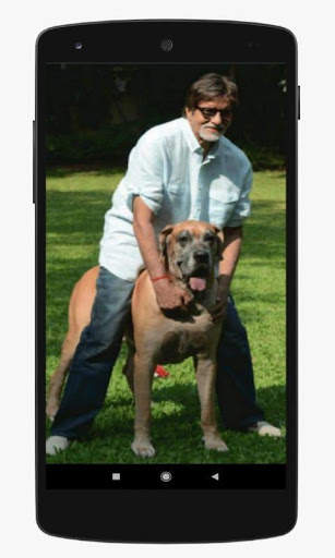 Amitabh Bachchan HD Wallpapers 1 تصوير الشاشة