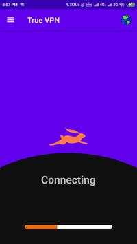 True VPN screenshot 2