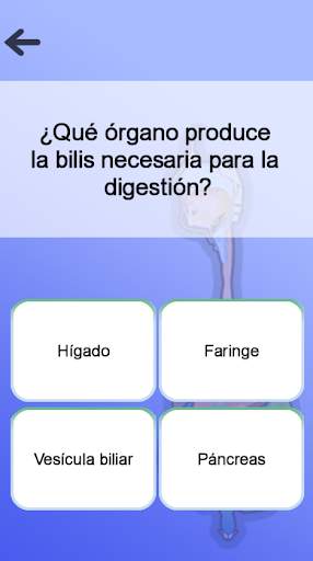 Anatomía screenshot 5