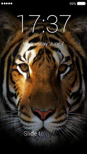 Tiger Lock Screen 4 تصوير الشاشة