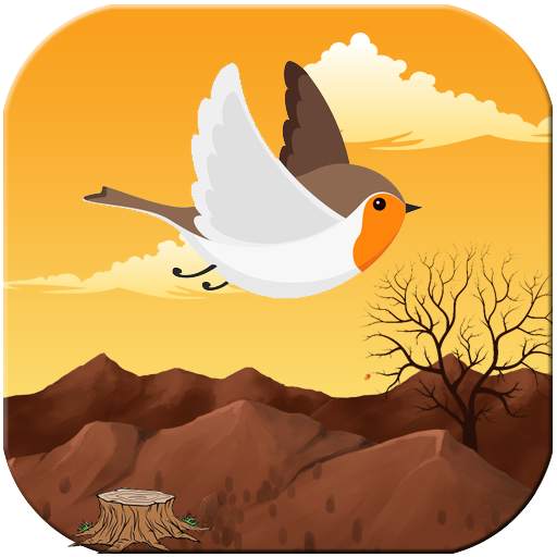 Lovely Bird 1.6