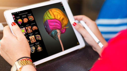 Anatomy Learning - 3D Anatomy Atlas screenshot 2