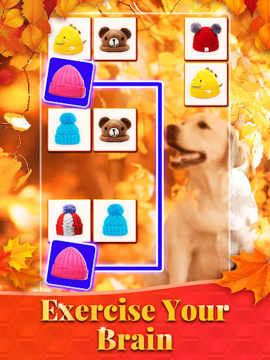 Onet 3D - Puzzle Matching game screenshot 11