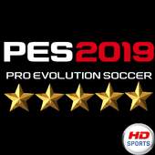 PES 2020 PRO Guide 1.0