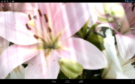 Spring Flowers Live Wallpaper screenshot 3