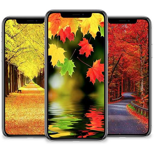 Autumn Wallpaper 1.1