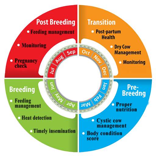 BLRI Breeding Manager 1.0