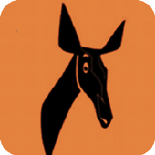 Radio Okapi icon