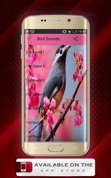 Birds Sounds स्क्रीनशॉट 1