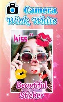 Camera Wink HD Plus2 screenshot 6