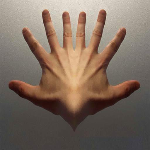 Mirror Camera 4.0.4