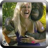 😍😀😆😄 Funny Videos 😄😆😀😍 1.0.0