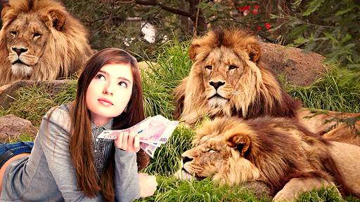 Wild Animal Photo Editor Frame screenshot 16