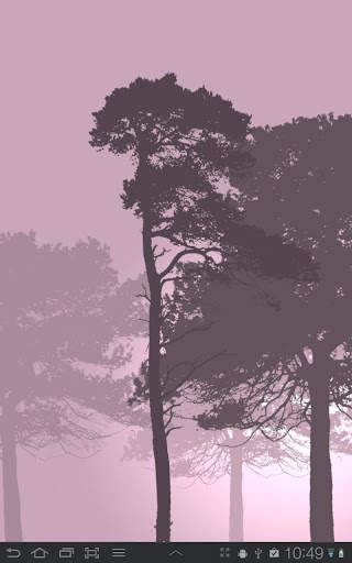 Misty Forest Free screenshot 3