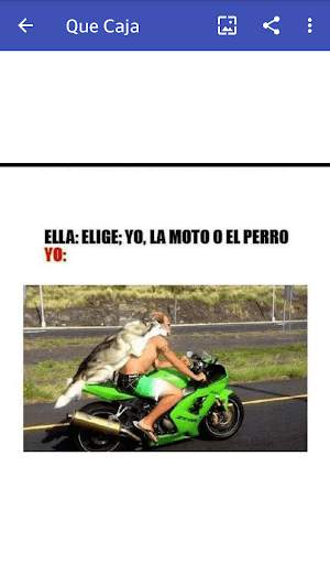 Memes 24 App screenshot 4