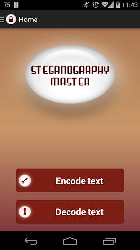 Steganography Master screenshot 1