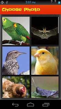 Puzzle Game: Bird Puzzle screenshot 3