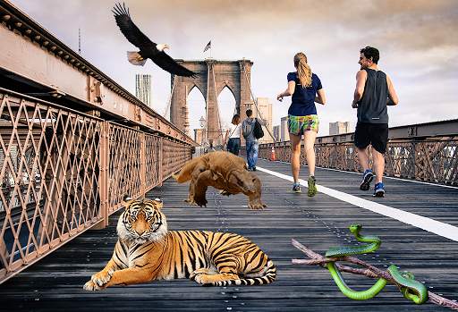 Wild Animals in Photo screenshot 1
