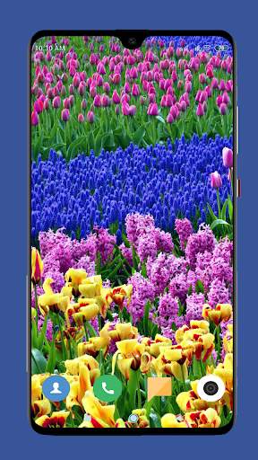 Beautiful Spring Wallpaper  4K screenshot 15