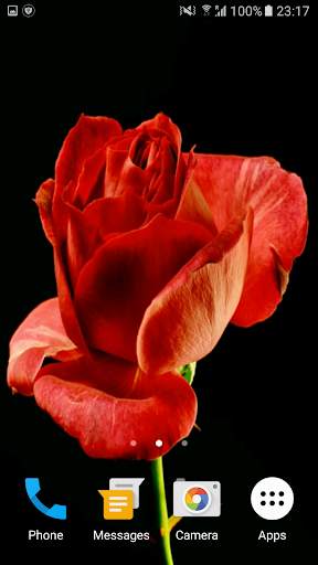 Blooming Rose 3D Video Theme screenshot 4