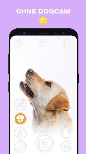 DogCam - Dog Selfie Filters and Camera screenshot 5