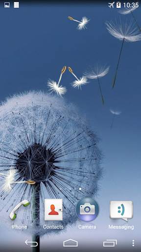 Dandelion Live Wallpaper screenshot 3