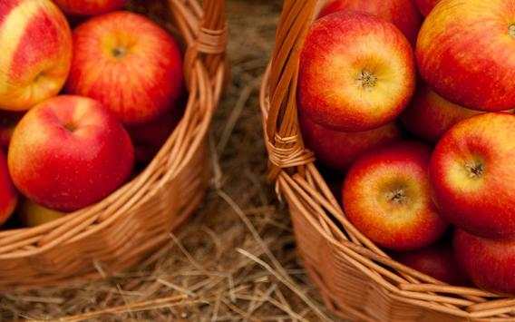 Apples Autumn live wallpaper screenshot 9