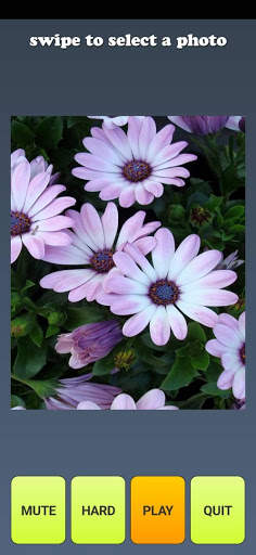 Photo Puzzle Game - Mix and Fold Picture Puzzle screenshot 6