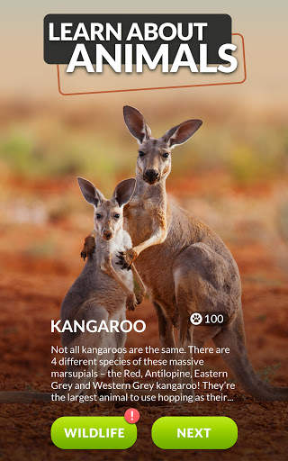 Words and Animals - Crosswords screenshot 12