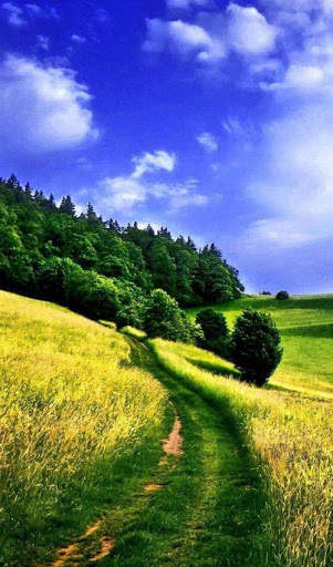 Landscape Wallpaper screenshot 9