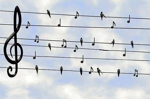 Mp3 Free Music Download screenshot 2