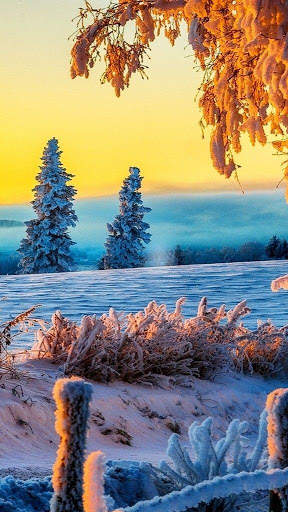 Beautiful Wallpaper 4K screenshot 2
