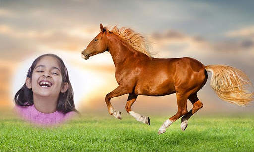 Wild Animal Photo Frames HD screenshot 2