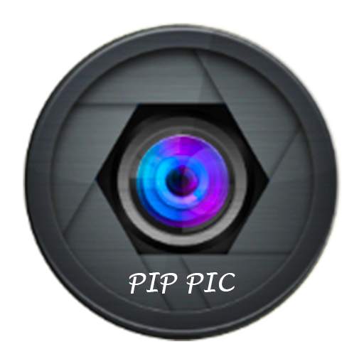 PIP PIC 1.0