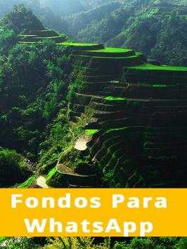 Fondos Para WhatsApp Gratis screenshot 1