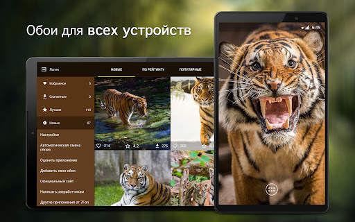 Обои с тиграми | Тигры от 7Fon скриншот 6