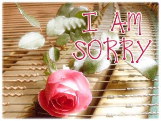 Sorry Images screenshot 3